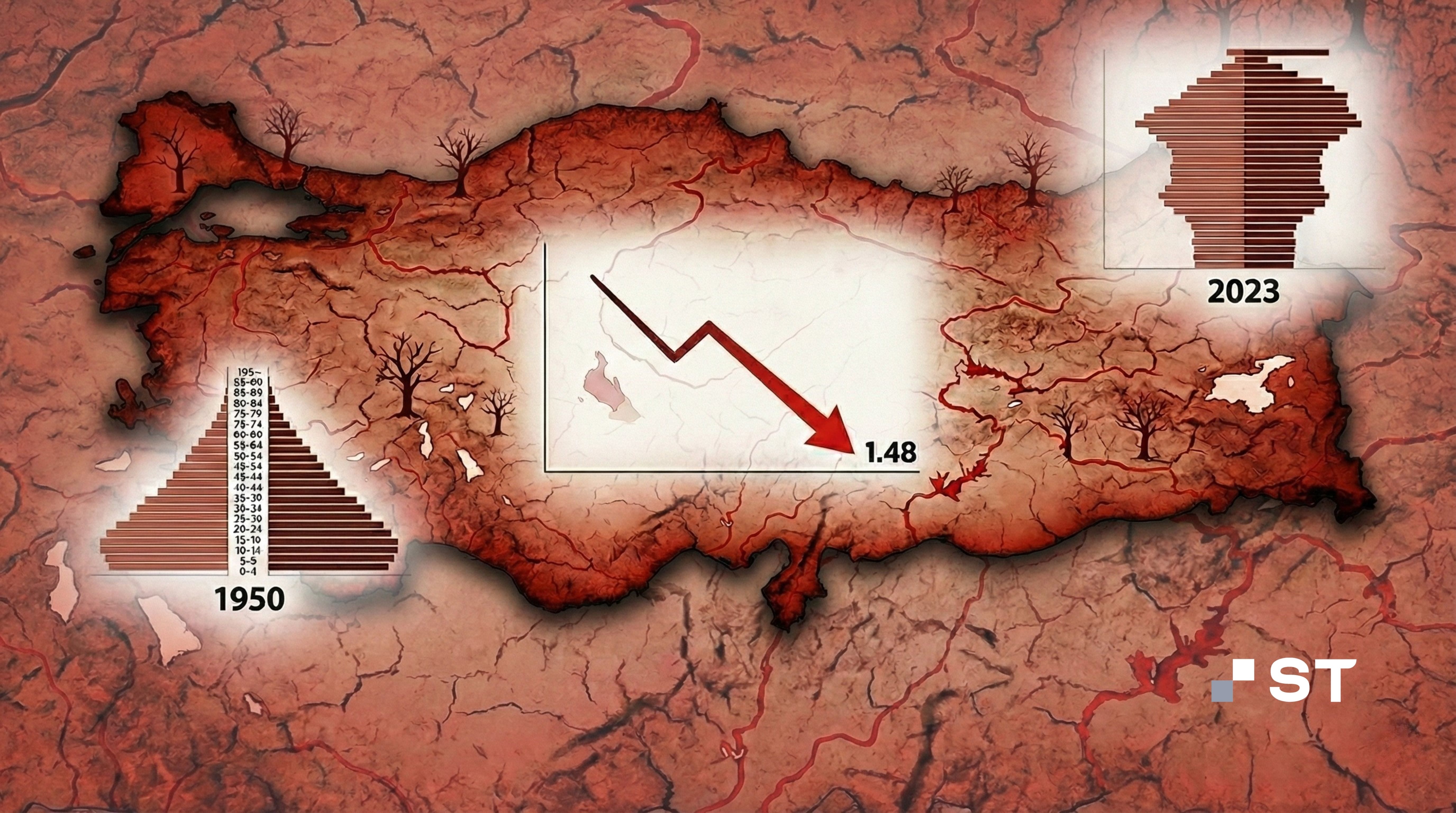 Nüfus Politikalarının Çalışma Hayatına Yansımaları